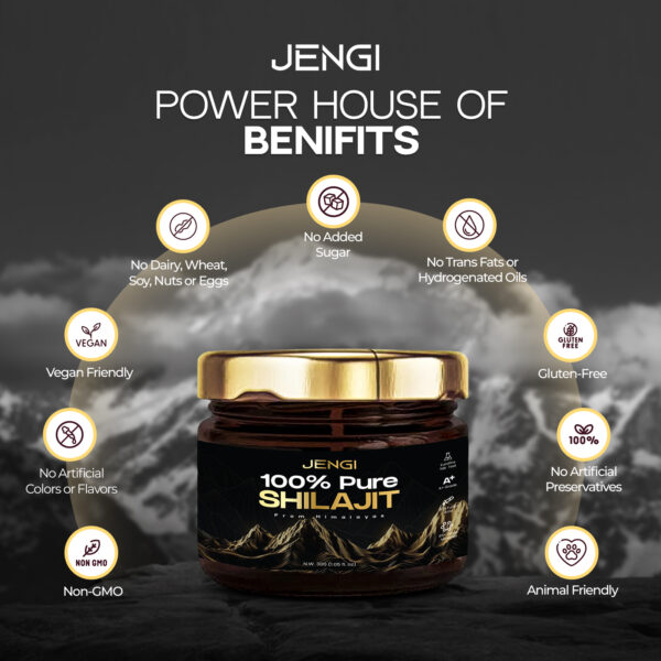 Jengi Shilajit - Image 3